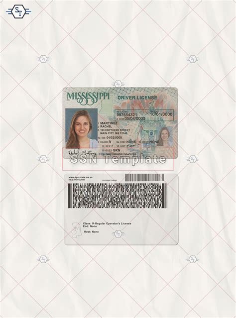 Mississippi Driver License New Template Buy Psd Template