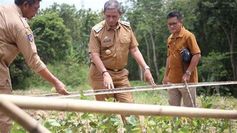 Profil Amran Mahmud Bupati Wajo Disebut Bpk Dalam Kasus Dugaan Korupsi