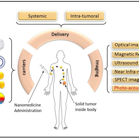 Multifunctional Theranostic Nanomedicine For Photoacoustic Imaging