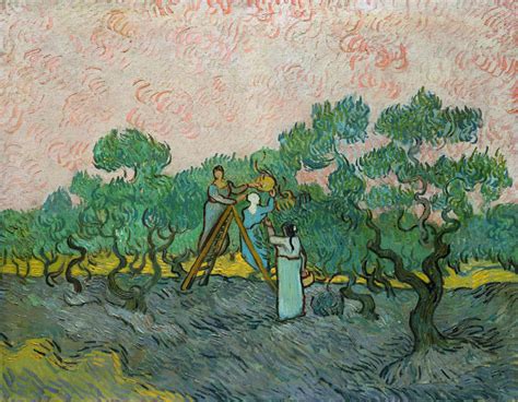 The Olive Pickers Saint Remy Vincent Van Gogh