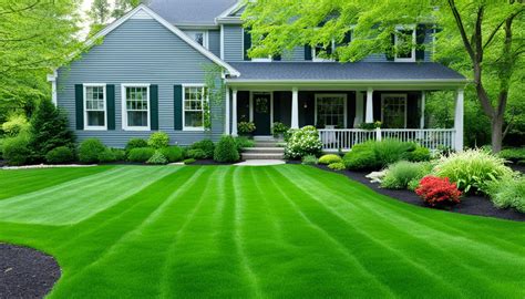 Best lawn fertilizer for green grass