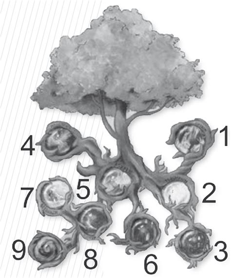 El Rbol Yggdrasil Peirceano Met Fora De Los Nueve Reinos Tricot Micos