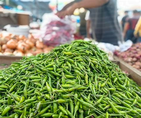 Harga Cabai Rawit Rp Per Kg Di Pekanbaru Hari Ini