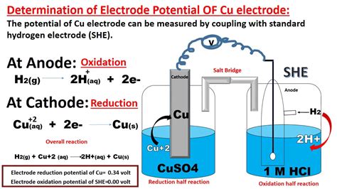 Standard Electrode Potential And Reducing Power At Sherman Anthony Blog