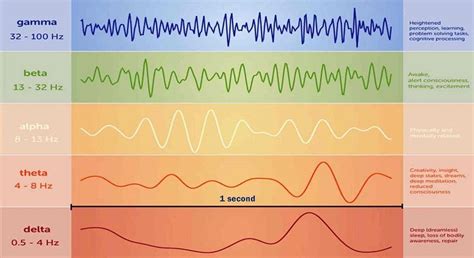 Different Brain Waves Explained