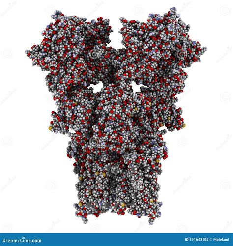 AMPA Receptor Ionotropic Glutamate Receptor. Structure of the Rat AMPAR ...