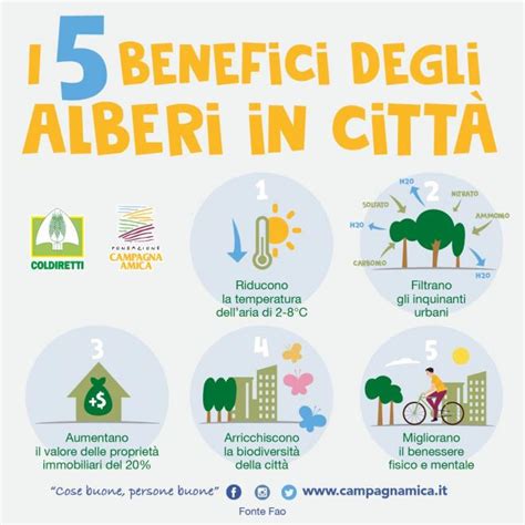 I Benefici Degli Alberi Urbani Tiscali Ambiente