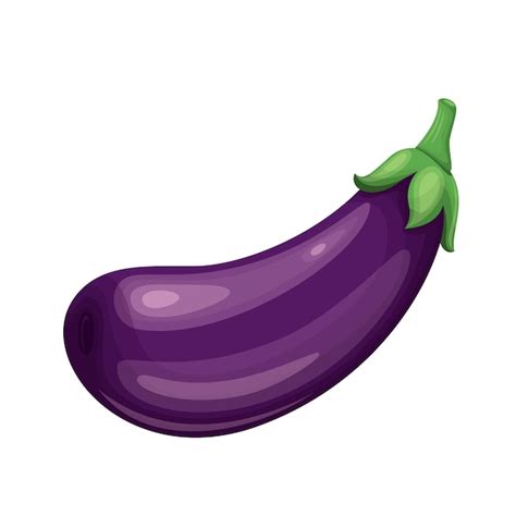 Premium Vector Beautiful Eggplant Vegetable Illustration