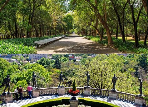 Introducir 93 Imagen Como Llegar A La Segunda Sección De Chapultepec