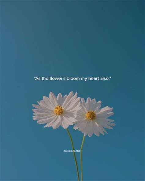 Quote Give Her Flowers Quotes Quotes About Flowers And Love Romantic