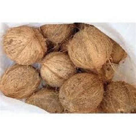 A Grade Solid Semi Husked Coconut Packaging Size Kg Coconut Size