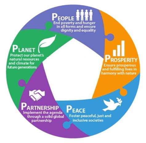 About The Sdgs University College Cork