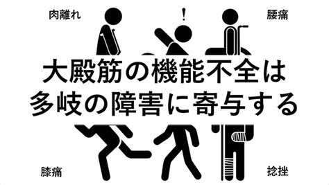 大殿筋の機能低下が生じると ～段階的負荷、トレーニングの工夫と注意～｜y K