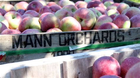 Mann Orchards Farmstand And Bakery Methuen Ma