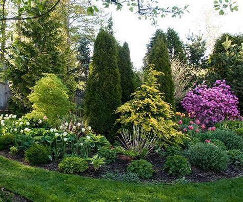 10+ Arborvitae landscaping ideas | arborvitae, privacy landscaping, backyard landscaping