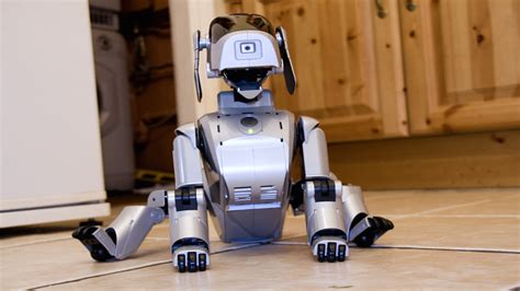 Researcher Predicts Robo-Pets Are the Dogs of the Future – ANIMAL