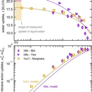 Measured Symbols And Calculated Solid Lines Membrane Proton