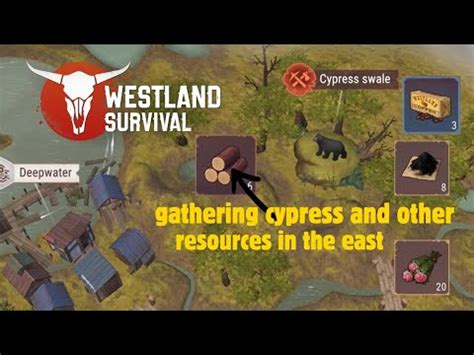 Westland Survival Gathering Cypress And Other Resources In The East