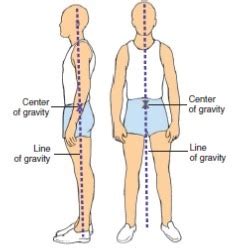 Ch 28 Immobility Flashcards Quizlet