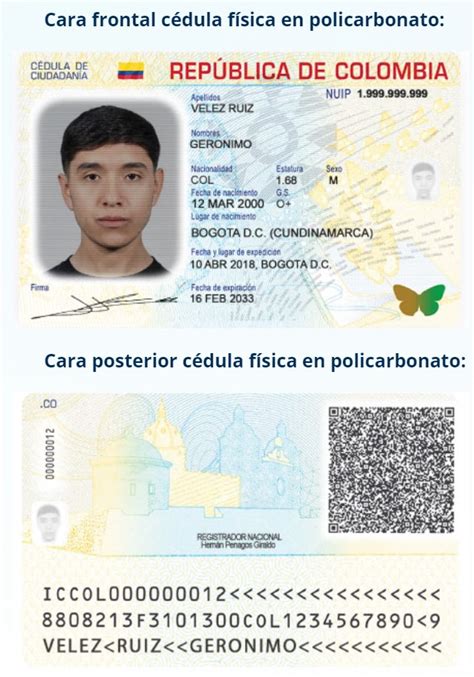 Cédula Digital Estos Son Los Nuevos Costos Para Expedirla