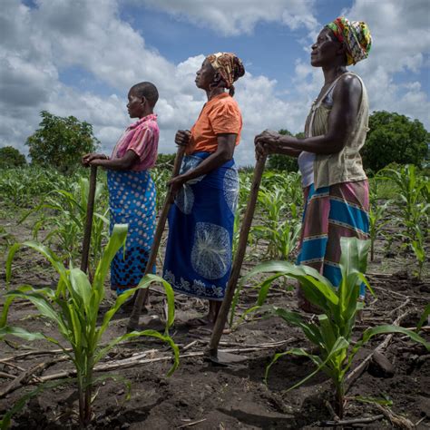 Cop Le Cri Des Associations Face Au Changement Climatique Ong Care