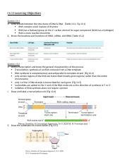 Ch Genetics Docx Ch Learning Objectives Section