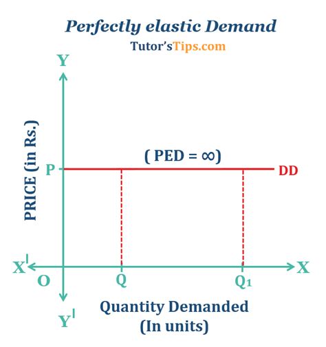 Elasticity Of Demand With Examples