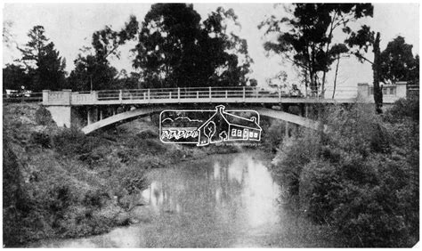 Negative Photograph The Bridge Hurstbridge Vic C1925