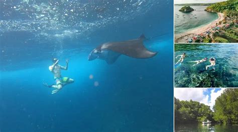 LEMBONGAN SNORKELING Tour | #1 The Exciting Trip 2025