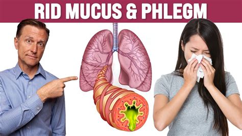 Best Respiratory Mucus And Phlegm Remedy Healthy Keto™ Dr Berg