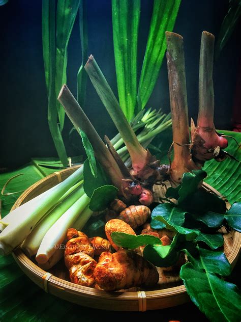 Exotic Herbs of Southeast Asia's Cuisine: A Culinary Journey Through