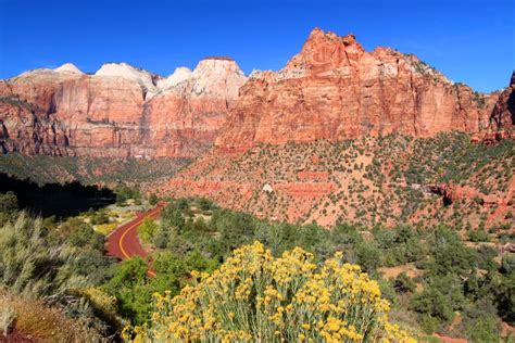 Zion National Park Scenery stock image. Image of habitat - 22923361