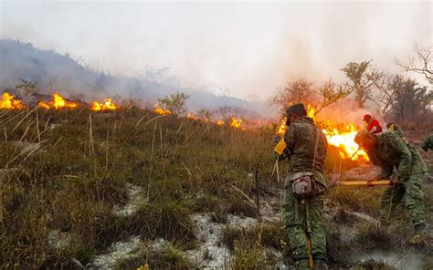 Combaten Brigadistas Cuatro Incendios Forestales En Guerrero Siniestros