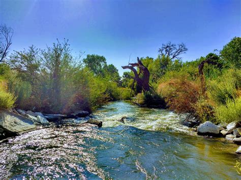 Bring Back The Kern Hosts River Roundtables Kern Audubon Society