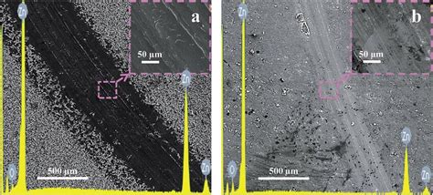 FESEM Morphologies And Element Compositions For The Worn Surfaces Of