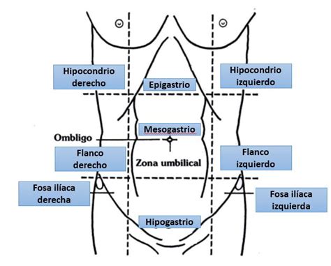 Cavidad Abdominal Dolopedia