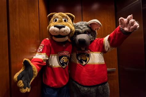 Stanley C Panther And Viktor E Ratt 2017 Florida Panthers Virtual Vault