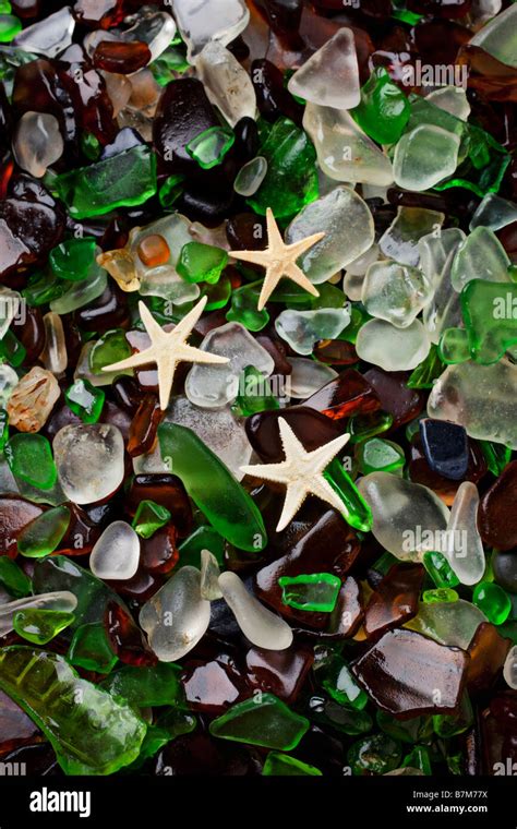 Starfish Hi Res Stock Photography And Images Alamy