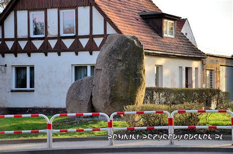 Pomnikowe G Azy Narzutowe W Niemodlinie Pow Opolski Pomniki Przyrody