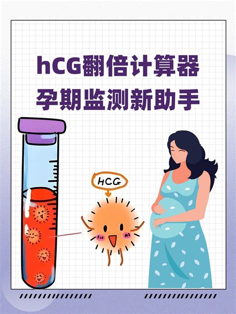 hCG翻倍计算器孕期监测新助手 家庭医生在线家庭医生在线首页频道