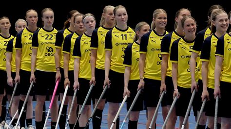 De 22 spelarna som ska representera Sverige i EFT för U19