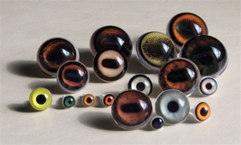 Acrylic Eyes For Taxidermy From Taxidermy Eyes