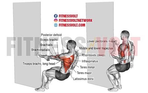 One-arm Towel Row (Back) | Exercise Guides and Videos ~ healthtasy.com