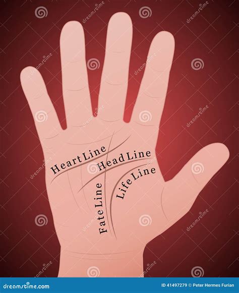 Divination By Lines On A Hand Palm Reading Or Palmistry Royalty Free