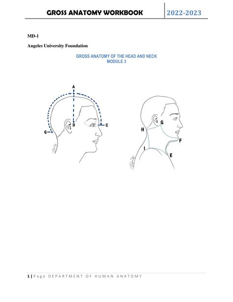 Solution Muscles Fasciae And Ligaments Of Head And Neck Studypool