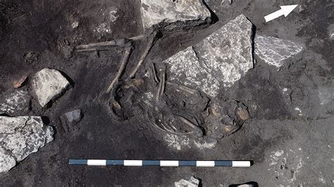 A Massacre Frozen in Time: Skeletons in Sweden Reveal Ancient Attack