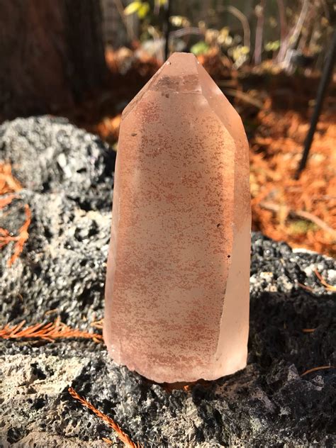 Lemurian Seed Quartz Crystal Tabby Raw Orange Mine Fresh Brazil