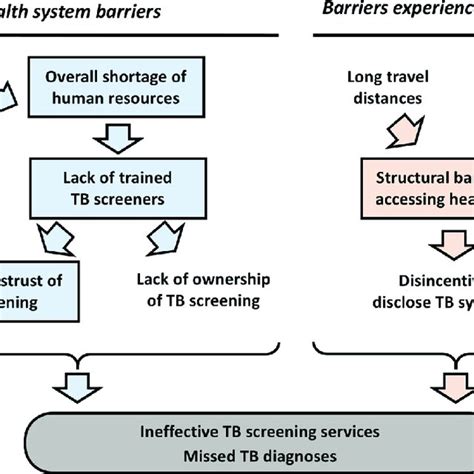 Conceptual Framework For How Barriers To Implementing TB Screening In