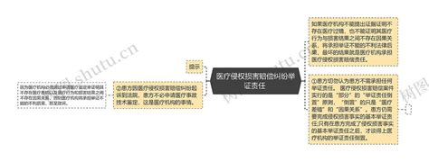 医疗侵权损害赔偿纠纷举证责任 思维导图编号p7080371 Treemind树图