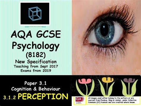 Aqa Gcse Psychology Paper 31 Covers Perception Module With Exercises